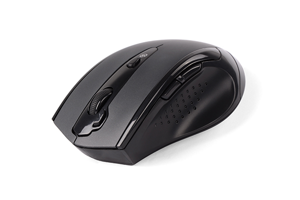 Wireless Mouse G10-810F